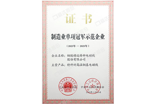 制造業(yè)單項冠軍示范企業(yè)